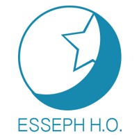 Esseph logo - Similar company to Implex  Sasu