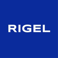 Rigel digital marketing logo - Similar company to Mavas Digital