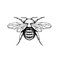 Antiqua Store logo - Similar company to Miiska Collection