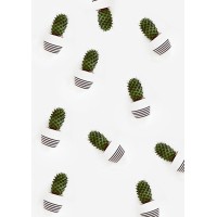 Cactus Advisory logo - Similar company to Cactus Info