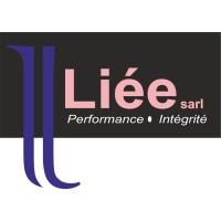 Liée sarl logo - Similar company to Agara Commodities