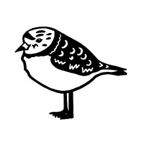 PloverAI logo - Similar company to Quantm Alpha