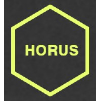 Horus Intelligence Solutions logo - Similar company to Strategy Achievers