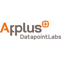 DatapointLabs logo - Similar company to Big Data Processing