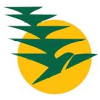 Norfolk Island Airlines