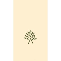 شجرة logo - Similar company to Bellezza Mall