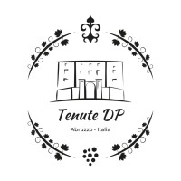 DP Winery logo - Similar company to Winestore Gmbh