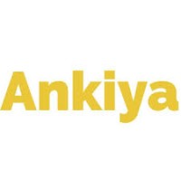 Ankiya Web Marketing LLP logo - Similar company to Turnkey Digital Uk