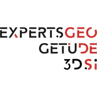 GEODESI logo - Similar company to Mao-Creative