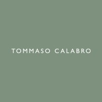 Tommaso Calabro logo - Similar company to Tornabuoni Art