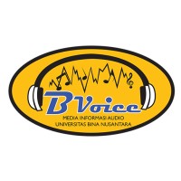 BVoice Radio logo - Similar company to Future10