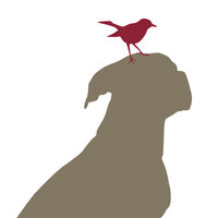 NORTH CENTRAL ANIMAL HOSPITAL logo - Similar company to Faust Animal Hospital