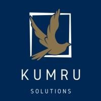 Kumru Solutions logo - Similar company to İtü Makina Fakültesi Mezun Ve Mensuplar Derneği