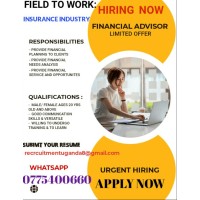 SOLUTIONS RECRUITMENT AND ADVERTISING AGENCY logo - Similar company to Link Solutions Uganda