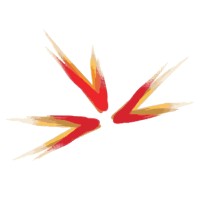 Ascent HR Technologies Private Limited logo - Similar company to Ascent