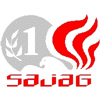 Sajag Securities Pvt Ltd logo - Similar company to Harinext Solutions