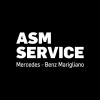 Mercedes-Benz ASM Service Marigliano logo - Similar company to Gasmek S.R.L.