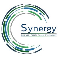 Synergy Solutions logo - Similar company to Inclusionem