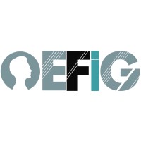 EFIG - Asesoría Licitaciones Públicas, Convenios Marcos y Grandes Compras en Mercado Público logo - Similar company to Licitapyme