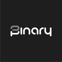 Binary ICT Services logo - Similar company to Digipalz Inc.
