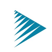 Arraystorm (a brand of RR Global) logo - Similar company to Adappt Intelligence