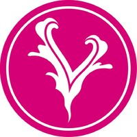 V-studio dance fashion logo - Similar company to Terramedus Akademie Für Gesundheit