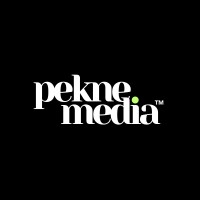 Pekne.media logo - Similar company to Flywize