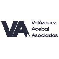 Velázquez, Acebal & Asociados, S.C. logo - Similar company to The Pdlc Group