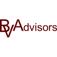BV Advisors, LLC logo - Similar company to Cogence Group Pc