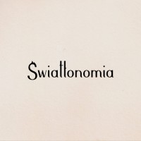 Światłonomia logo - Similar company to Vebinet