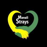 Manali Strays logo - Similar company to Acacious Technologies