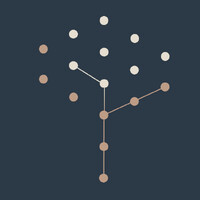 mangroveDLT logo - Similar company to Springy