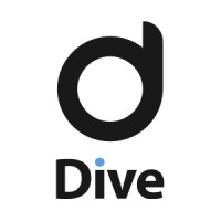 Dive CAE logo - Similar company to Numeric Systems Gmbh