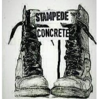 Stampede Concrete logo - Similar company to Floor Technologies, Inc