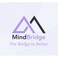 MindBridge Enterprise logo - Similar company to Micronet International College