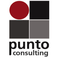 Punto Consulting-Turkey logo - Similar company to Machlog