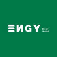 Engy Energy Limited logo - Similar company to Ngm Platform