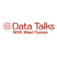 Data Talks with Wael Numan logo - Similar company to Data Excellence