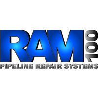 RAM 100 DEL SURESTE logo - Similar company to Asp Mexicana S.A. De C.V.