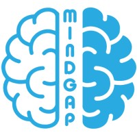 MindGap Consulting logo - Similar company to Mindgate Systems