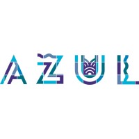 Azul Concept Store logo - Similar company to Bloom Concept Store