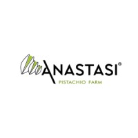 Anastasi Srl logo - Similar company to Antech Space Srl