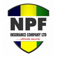 NPF Insurance Co. Ltd logo - Similar company to Workverse Space