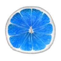 Blue Lime US logo - Similar company to Deepyaad