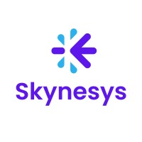 skynesys logo - Similar company to Timetotech