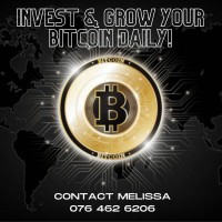 Bitcoin Bulls logo - Similar company to Numine