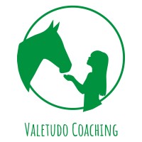 Valetudo Coaching logo - Similar company to Eki (Digital Incubator For African Creators)