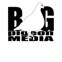 Big Pigeon Media logo - Similar company to Methods Technology Solutions