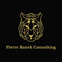 Pierre Banek Consulting GmbH logo - Similar company to Hire Pp | Personnel Placement