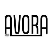 Grupo Avora logo - Similar company to Grin Store